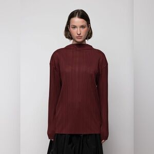 Elegant Burgundy Plisse Long Sleeve Top